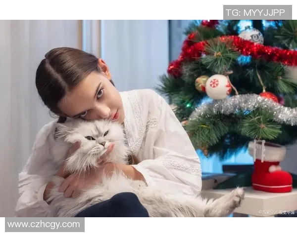 养猫的足球明星是谁他与爱猫的温馨故事揭秘